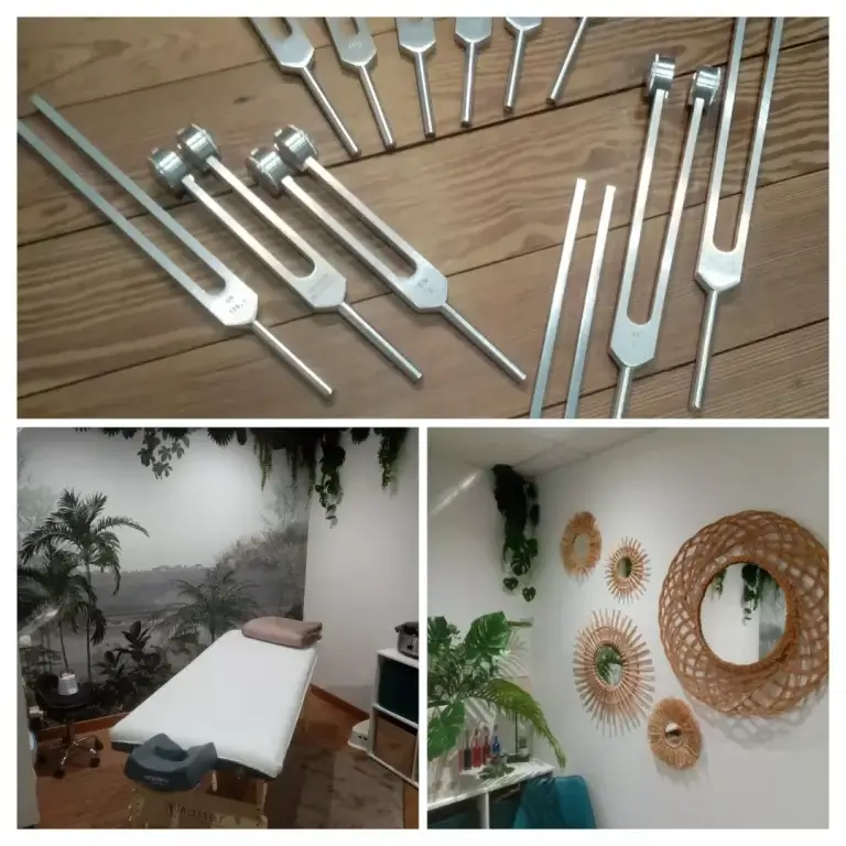 Diapasons thérapeutique - Acupuncture, vibration, réflexologie, énergie, médecine traditionnelle chinoise, soins ayurvédiques - L'origine de l'Harmonie by Nadine